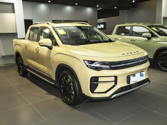 Geely RD6 Pure Electric Pickup Truck 4 Door 5 Seat Body Structure ABS System Included