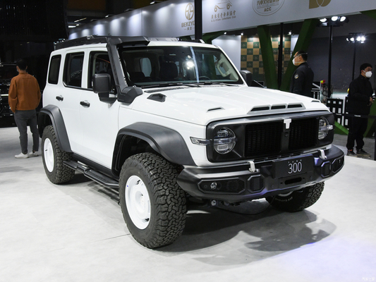2023 GWM Off-road Tank 300 SUV Car 2.0T Petrol Fuel 4WD Equipped with LED Headlight