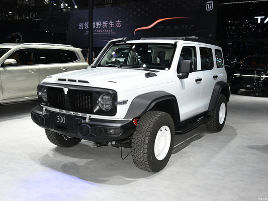 2023 GWM Off-road Tank 300 SUV Car 2.0T Petrol Fuel 4WD Equipped with LED Headlight
