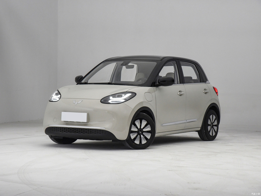 2023 Wuling Bingo Mini EV CLTC 333km Five-Door Four-Seat Energy Small Pure Electric Car