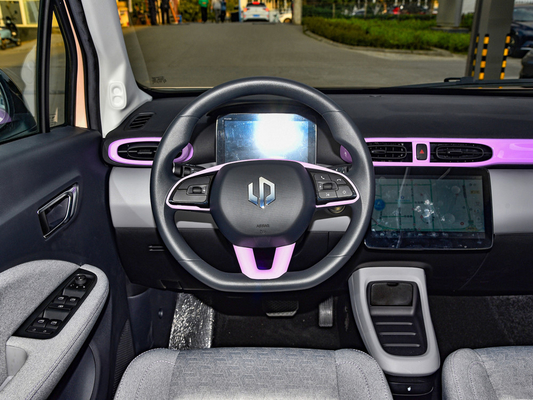Rear Camera and Left Steering Leapmotor T03 4 Seater Small EV Electric Car for Adults