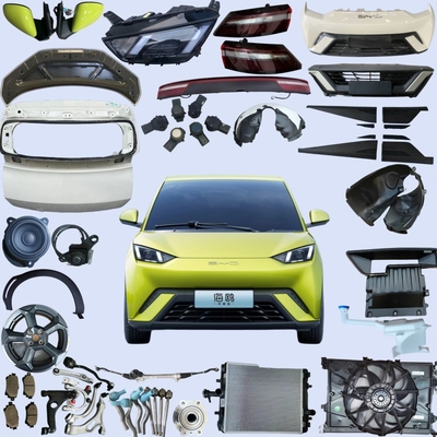 BYD Seagull Accessories Yuan Tang Seal Song Dolphin for All Models BYD Battery 2023- Yea