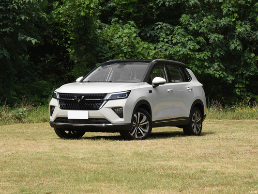 Manual Parking Brake 2021 Wuling Star 1.5T CVT Xingyao Edition 4-door 5-seat SUV