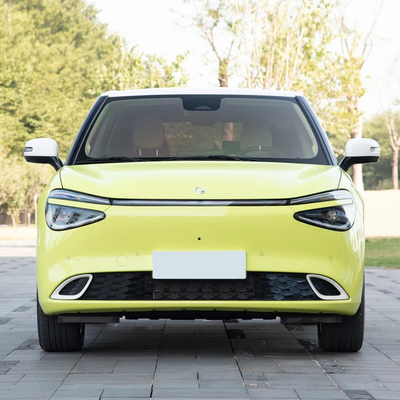 Hybrid Fuel Type 2024 Nammi 01 MAX Small Intelligent Energy Vehicle with 430KM Range