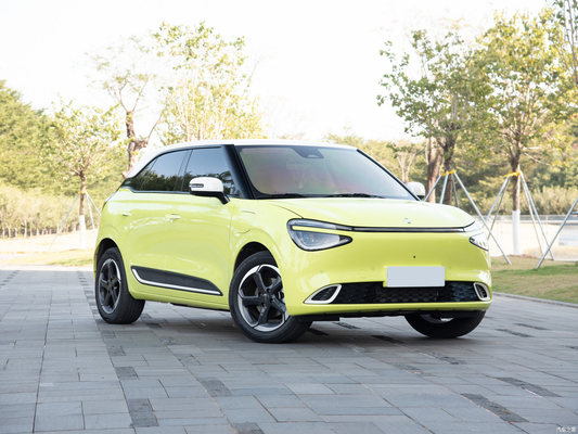 Hybrid Fuel Type 2024 Nammi 01 MAX Small Intelligent Energy Vehicle with 430KM Range