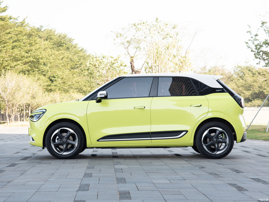 Hybrid Fuel Type 2024 Nammi 01 MAX Small Intelligent Energy Vehicle with 430KM Range