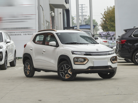 Nammi BoxEV Light Wind Version Standard Model Battery Life 201KM Chinese Family Car SUV