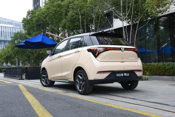 335KM Pure Electric Range Yue 01 2024 Model Lingyue Version with Battery Type Lithium