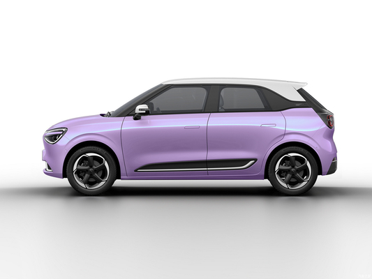 Max Smart Energy Vehicle Dongfeng Nami 01 2024 430 with 4030*1810*1570 Body Structure
