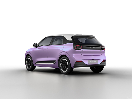 Max Smart Energy Vehicle Dongfeng Nami 01 2024 430 with 4030*1810*1570 Body Structure