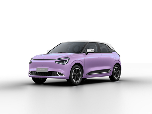 Max Smart Energy Vehicle Dongfeng Nami 01 2024 430 with 4030*1810*1570 Body Structure