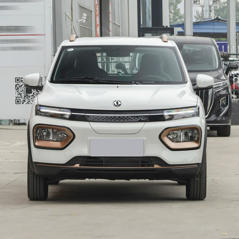 Nammi BoxEV Light Wind Version Standard Model Battery Life 201KM Chinese Family Car SUV