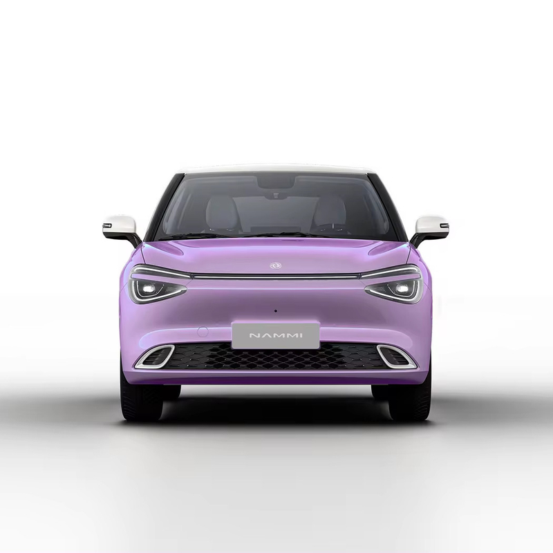 Max Smart Energy Vehicle Dongfeng Nami 01 2024 430 with 4030*1810*1570 Body Structure